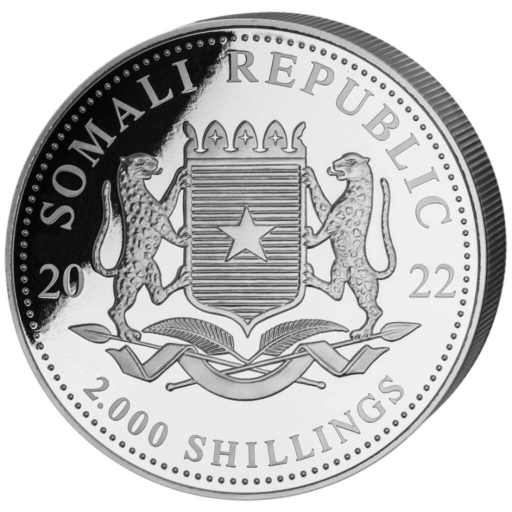 Silbermünze 1kg Leopard African Wildlife 2022 - Somalia - ST