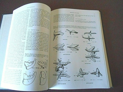 1988 Hardback Book - Geology & Geophysics NO.10 The Conodonta by Walter C. Sweet - Picture 8 of 8