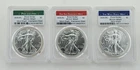 2020 PCGS MS69 Struck At (P) (S) (W) Label Silver Eagles Set