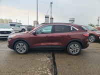 2021 Ford Escape SEL FHEV AWD
