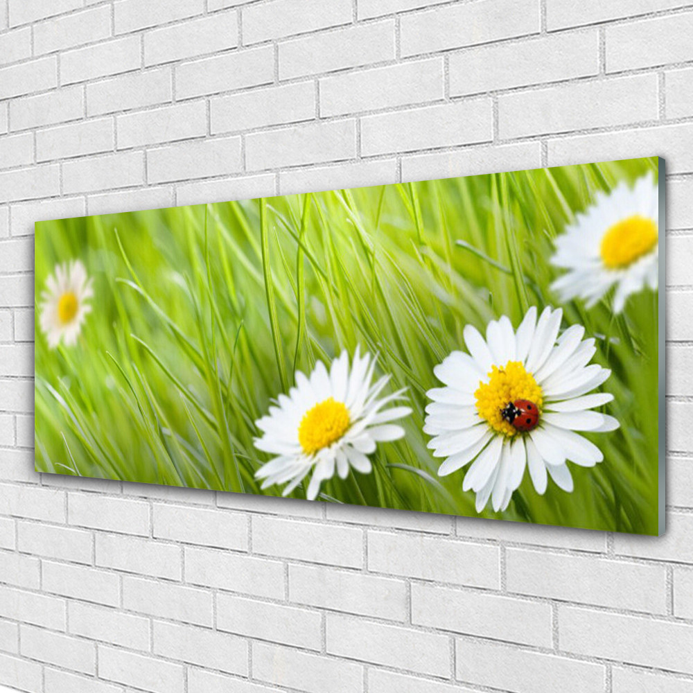 Tableau sous verre Marguerite Herbe Tulup pour décorer un salon lumineux