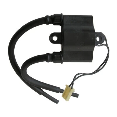 Bobine D'Allumage Pour Suzuki DR650 RSE/SE / XF 650 Freewind / Yamaha XJR 1300 - Photo 1/2