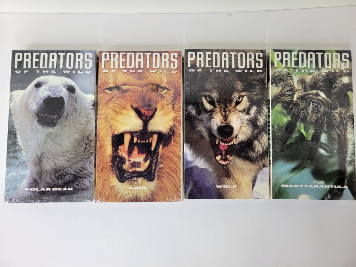 Lot of 4 VHS Predators of the Wild - Polar Bear, Lion, Wolf and