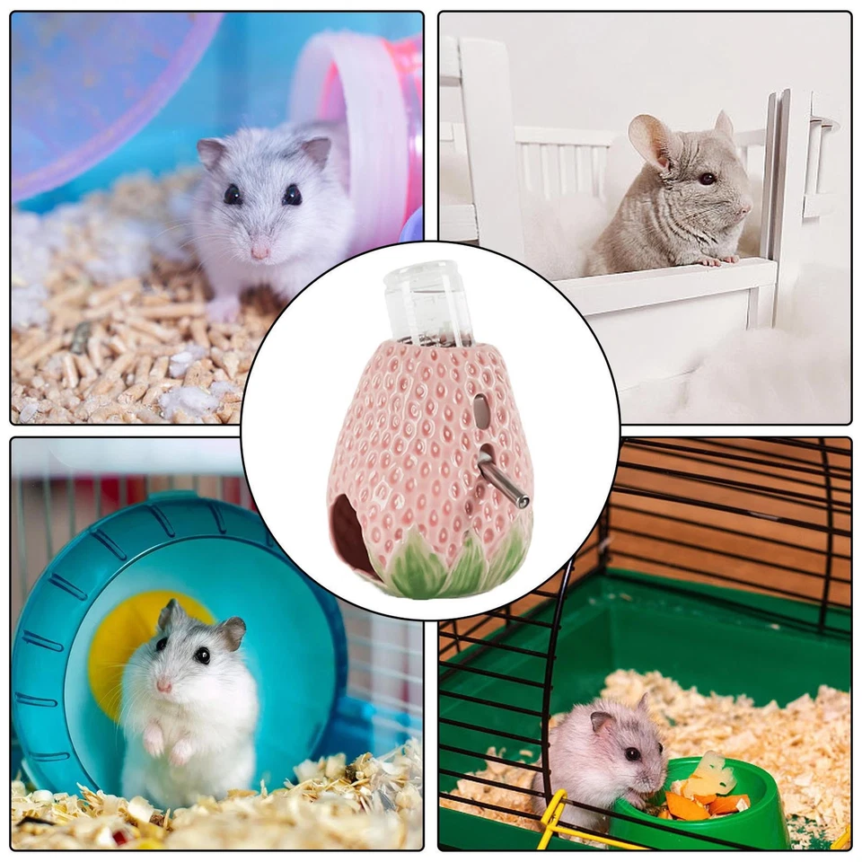 Alimentador dispensador de agua para mascotas pequeñas de cerámica de fresa hámster rata Foto 4 de 4