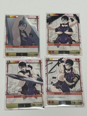 Queen's Blade The Duel Cattleya Bulk sale set Anime character Animation