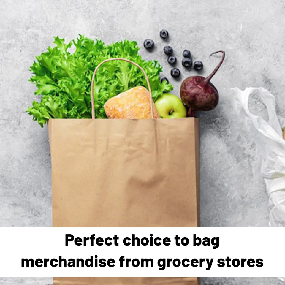 Paper Bags with Twisted Handle Brown Kraft Carrier Bag for Gift Christmas Cloths - Image 4 of 4