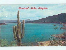Pre-1980 LAKE SCENE Fraziers & Carsons Landing Arizona AZ : clearance hp6201
