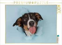 Puzzle Calvendo Et Voilà ! | 1000 PièCes, Format Assemblé 64 × 48 Cm | Puzzle Ph