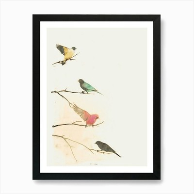 Vögel auf einem Ast Kunstdruck gerahmt Wandbild Poster Leinwanddruck Bild