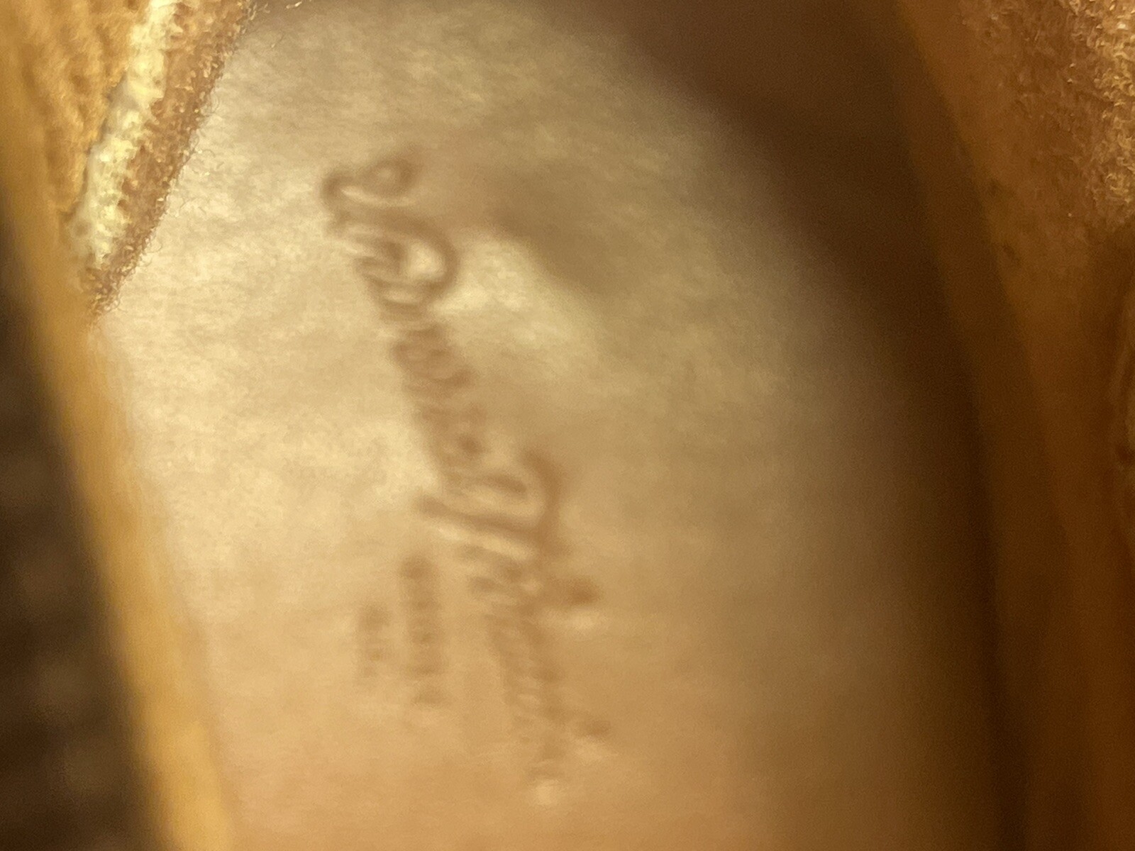 Universal Thread Amelia wedge booties Light Brown… - image 9