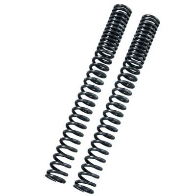 Set Ressorts Fourche Linéaire BITUBO pour Suzuki 1250 GSF N Bandit 2007-2011 - Photo 1/3