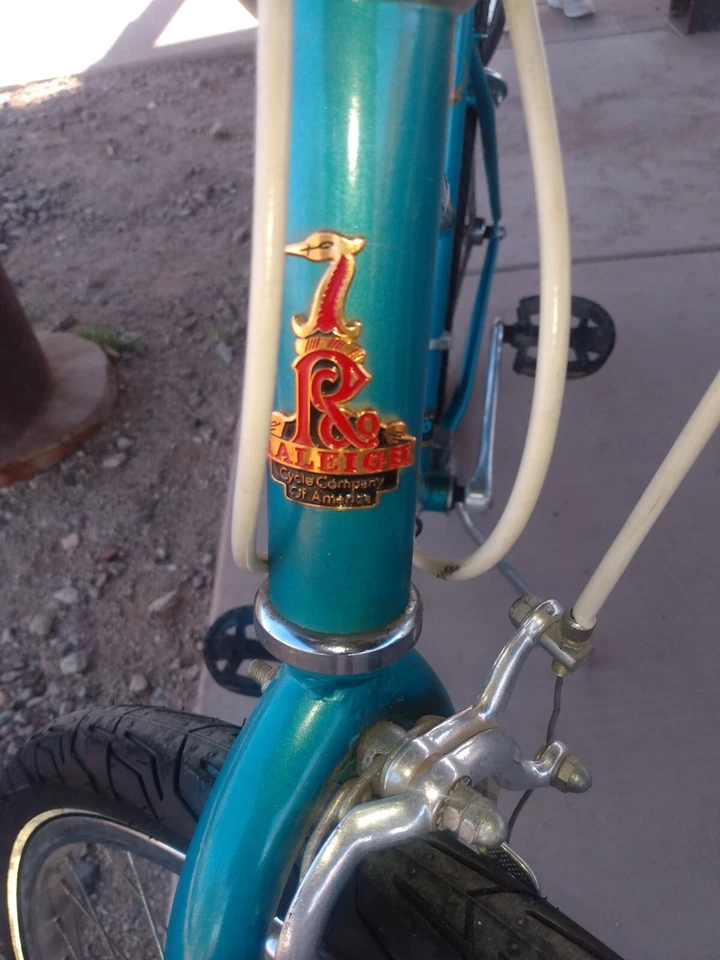 Bicicleta CitySport Horizon Raleigh Vintage 26 pulgadas Acero Mujer Bicicleta Foto 3 de 4