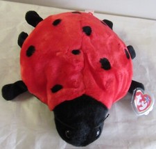 1999 Ty Lucky Red Beanie Buddy Ladybug 9" Plush