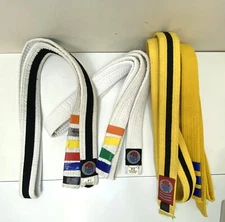 Pro Force Karate Belts Set of 4. Martial Arts Double Wrapped Reinforced