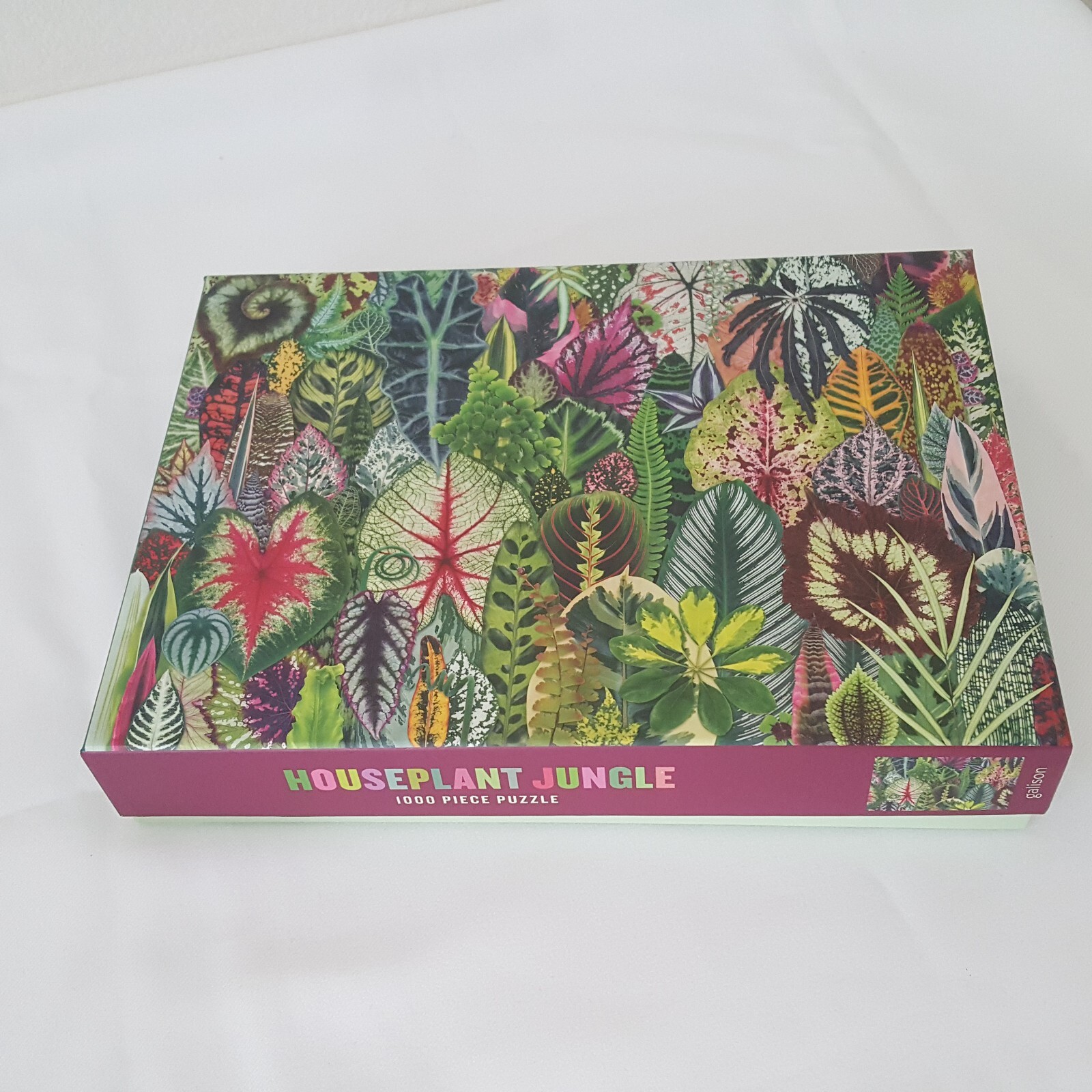 Houseplant Jungle Jigsaw Puzzle 1000 Piece Galison Puzzles 18" X 24' In Complete