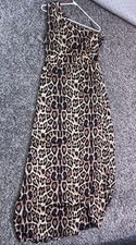 Leopard Print Maxi Dress