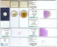 Assorted Microscope Slides (Z)