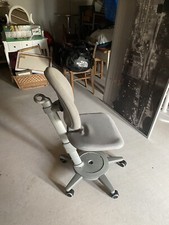 moll maximo forte gebraucht grau mit grauem bezug