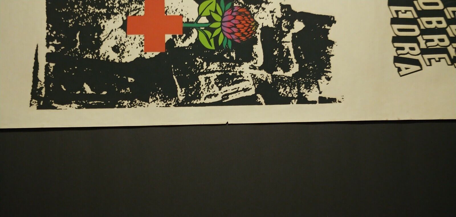 Picture 5 of 10