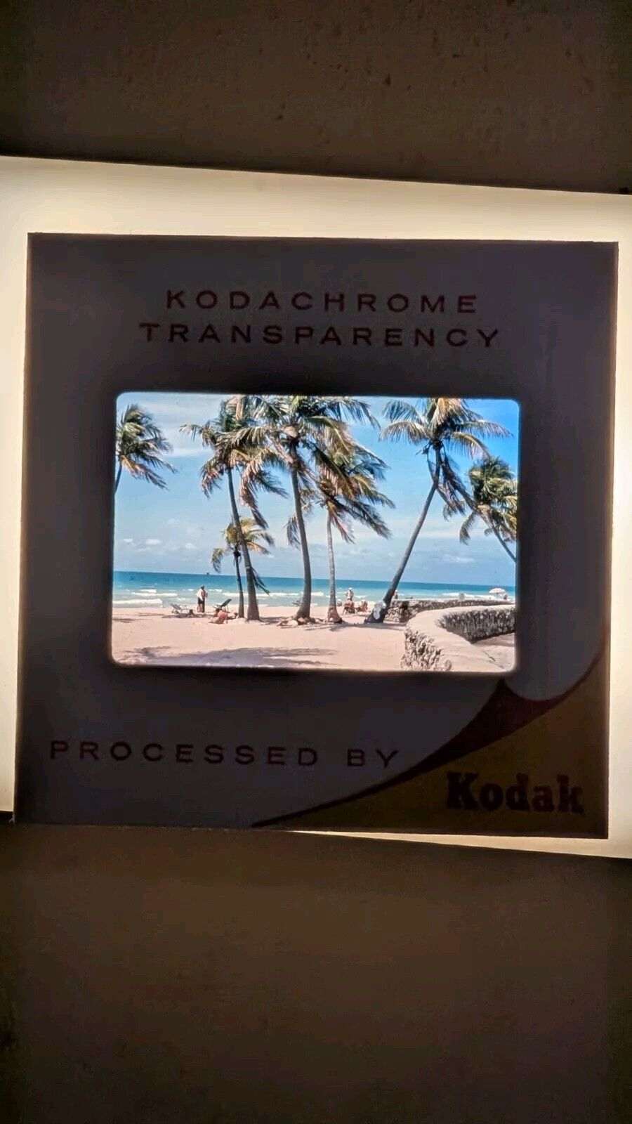Picture 9 of 13
