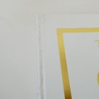 Picture 2 of 17