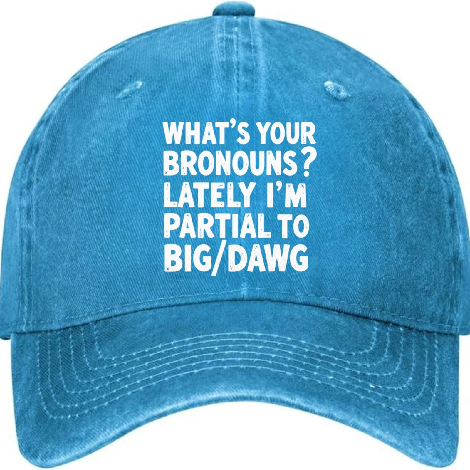 Funny Bronouns Graphic Dad Hat – Big/Dawg Adjustable Cap Hat Baseball Cap