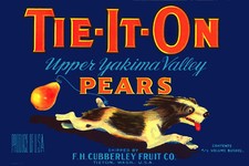 Vintage Quality Poster.LOvely DOG.Room Art Decor.Interior design.312