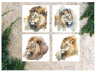 Lion, Big Cat neoprene drink coasters, set of 4, CHOICE, absorbent, cats