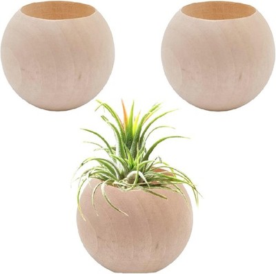 3 pcs Wood Air Plant Holder Air Plant Pots Air Plants Display Containers Table