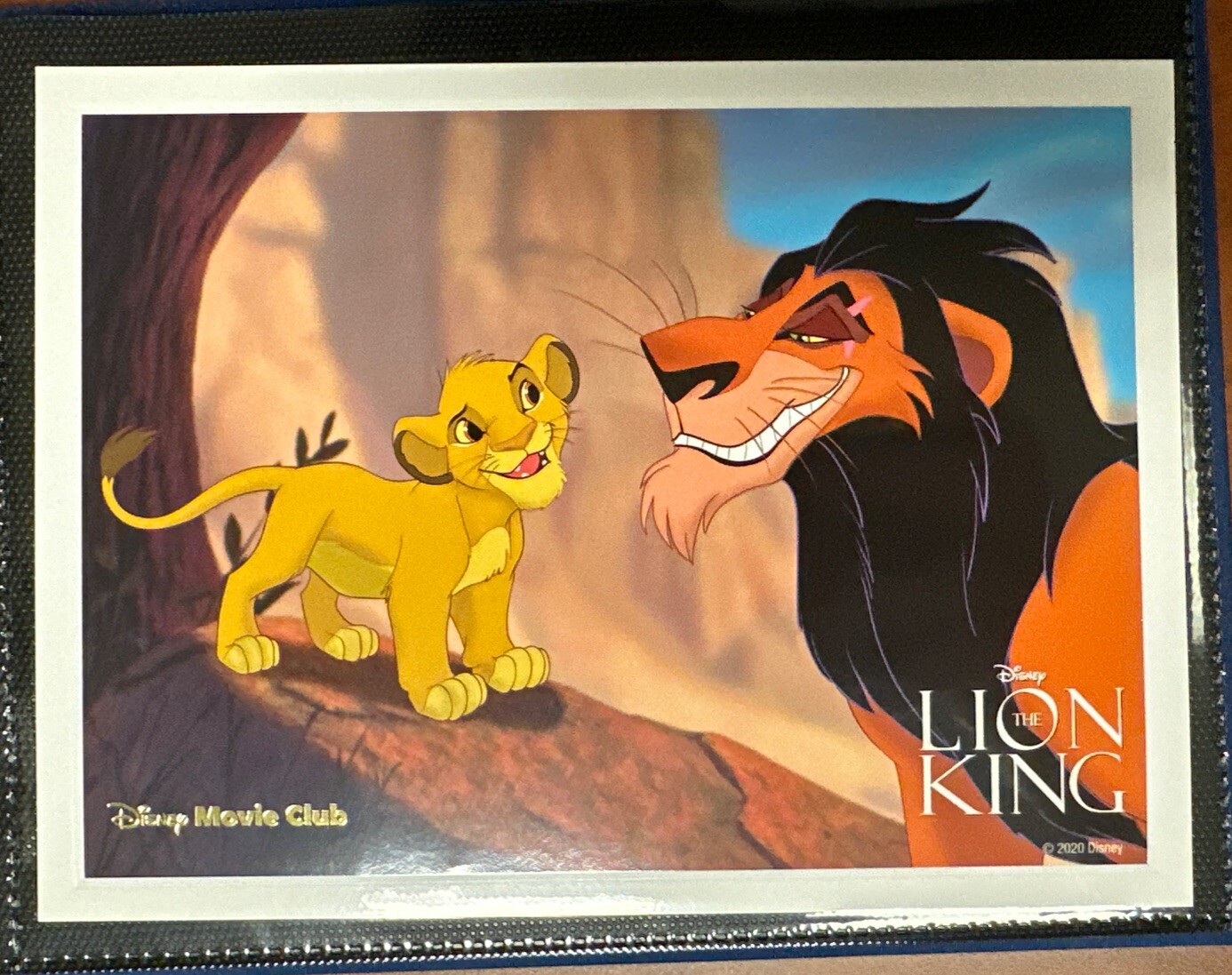 Picture 6 of 14