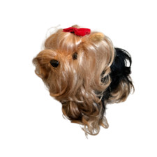 Vintage Yorkshire Terrier Toy Dog MANN 1985 Korea