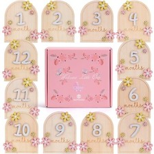 Monthly Baby Milestone Signs - Baby Monthly Milestone Wooden Circles for 1-12...