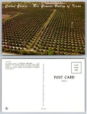 Vintage Citrus Groves Rio Grande Valley Texas Postcard Frank Whaley Aerial View