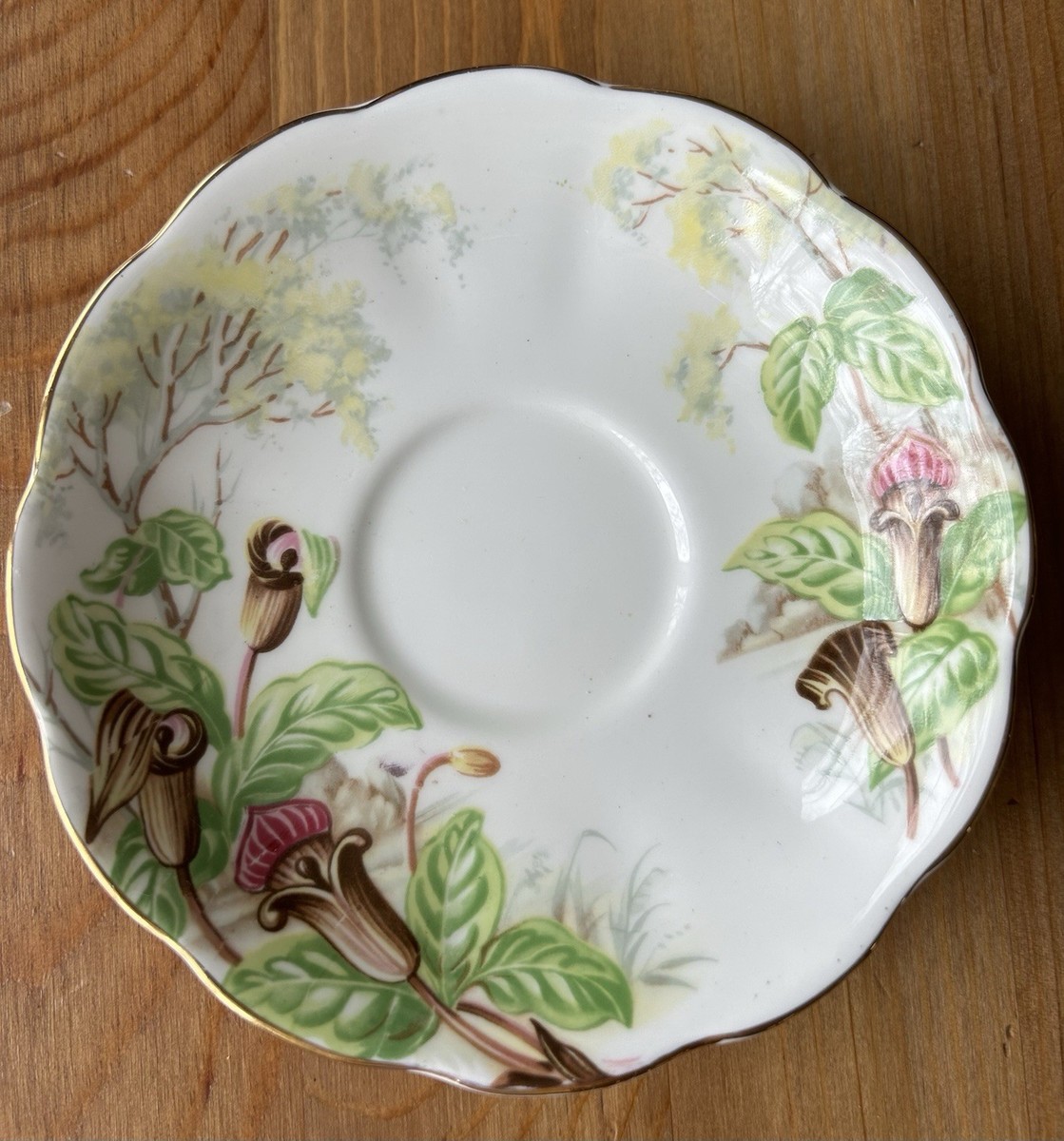 Royal Albert Jack In The Pulpit Teacup and Saucer Bone China