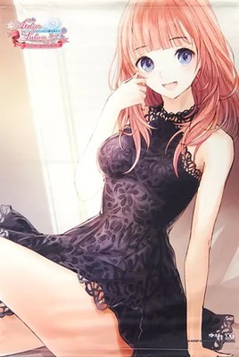 Animate Koei Tecmo Atelier Lulua B2 Cloth Tapestry PS4 Switch Bonus