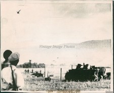 1971 Us Army Cambodia Officers South Vietnamese Guns 7X9 Historic Vintage Photo