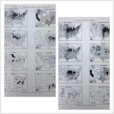 US resources maps post WWII 11x14 1947 MCM b&w set of 2