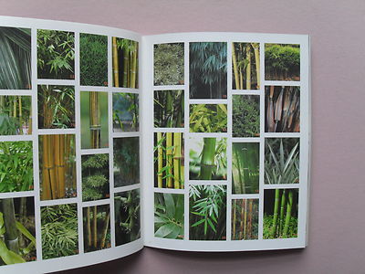 Bambus aus Baden-Baden by Wolfgang Eberts - Bamboo Catalog - Uncommon, 2004  | eBay
