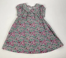 NWT Baby Gap Dress Floral Tiny Flower Girl Peter Pan Collar Corduroy 18-24 18 24