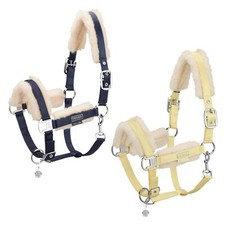 Eskadron Platinum Pure Halfter mit Doppelschnalle " DOUBLE PIN MATTGLOSS EVO-WOO