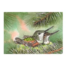 ACEO Limited Edition - Hummingbird nestlings print of Original painting
