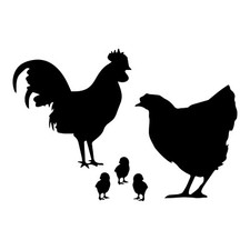 Chicken Family Animal Decal Vinyl Removable Decorative Sticker  Black  5.5"