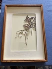 Vintage Two Wren Birds on Tree Art 3D Shadow Box Frame Real Feathers