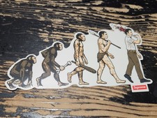 Supreme Evolution Sticker SS26 FREE SURPRISE
