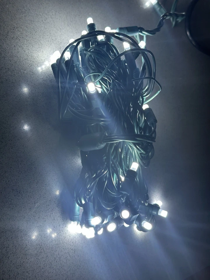 Vickerman 50 cable verde LED blanco puro esmerilado 25’ con espaciado de 6” Foto 4 de 4