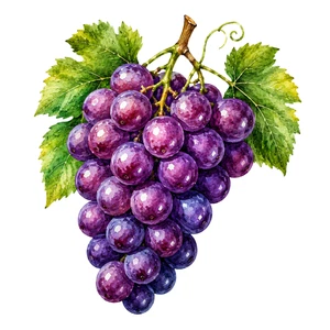 Grapes Fruit Food Self Adhesive Vinyl Sticker Wall Decal Kitchen Decor Various