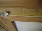Bild 11 von 12