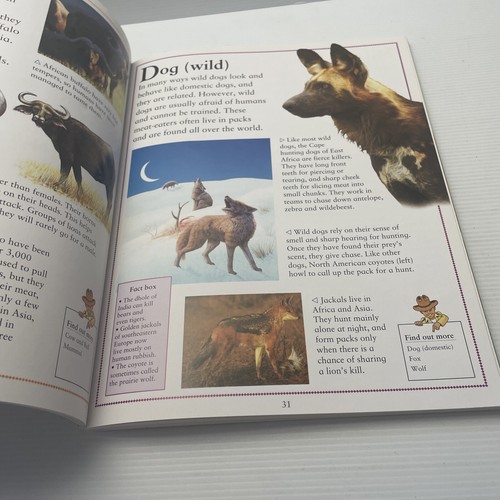 Kingfisher First Encyclopedia of Animals By Kingfisher Educational Book - Picture 5 of 6