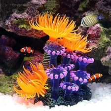Artificial, Simulation Plant Luminous Silicone Sea Anemone for Fish Landscape...