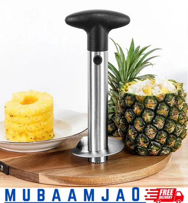 1PCS Spot Edelstahl Ananas Schäler Ananas Corer Slicer Obst Cutter Einfach Slice